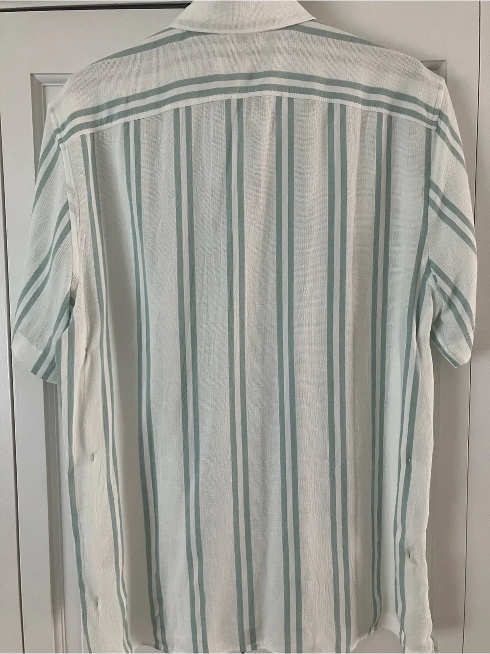 Banana Republic Light Green and White Vertical Stripe Short-Sleeve Shirt
